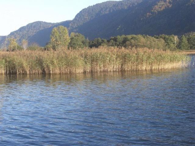 Gasthof Laggner Steindorf am Ossiacher See Ngoại thất bức ảnh